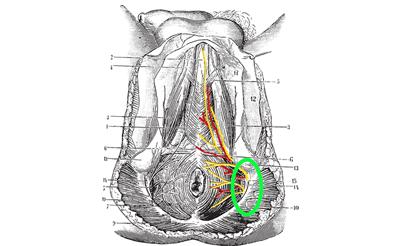 大叔发明了一个镂空车座，堪称骑行时降低屁股疼痛的神器