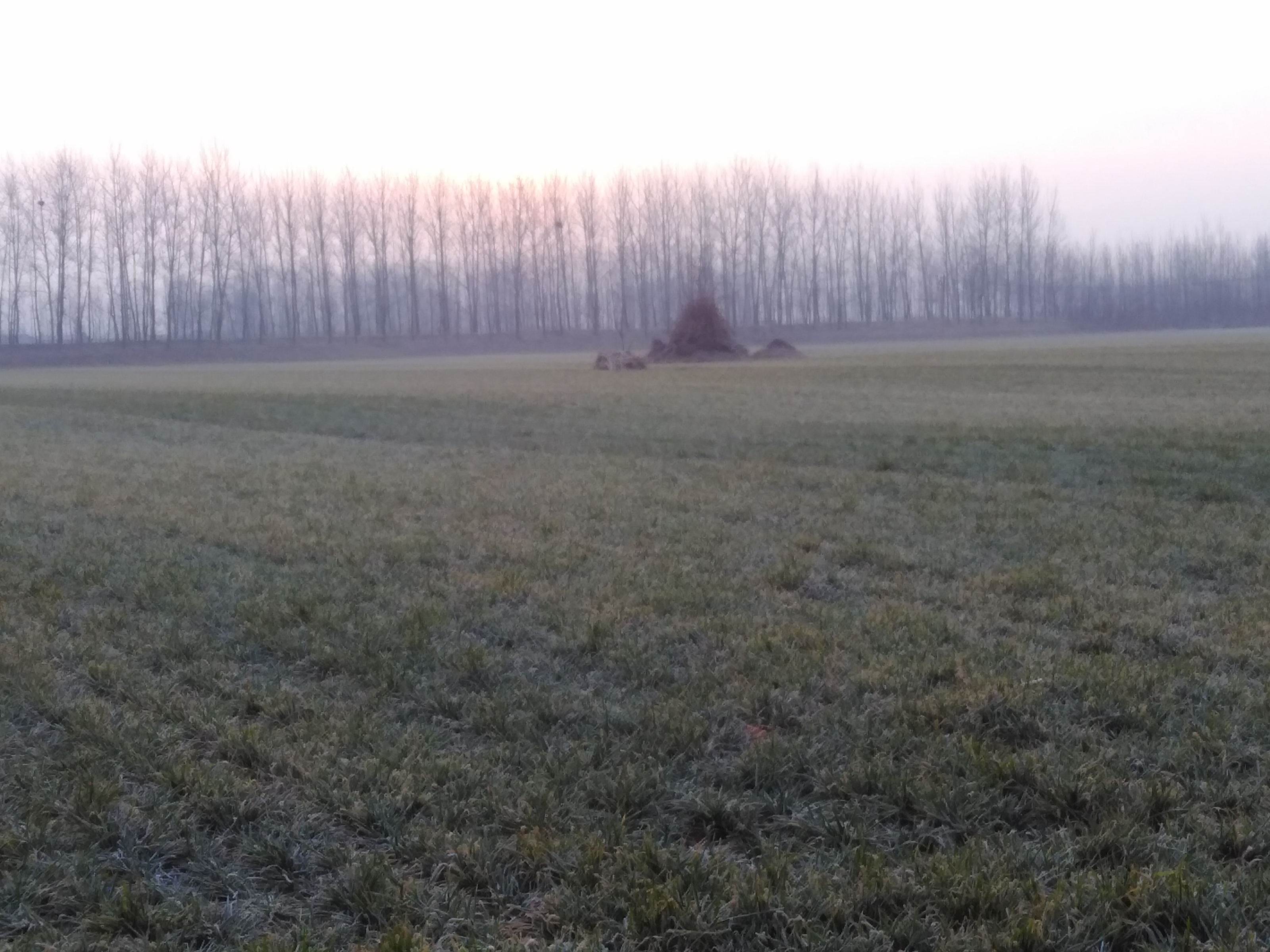 思乡不归乡的人,思乡却不知乡在何处