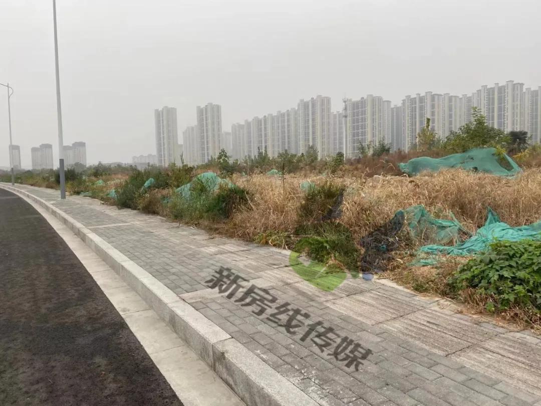 龟山板块,龟山板块发展