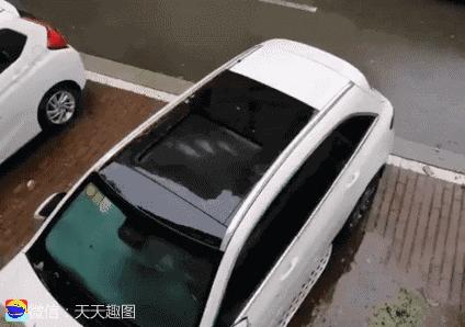 搞笑动图gif笑到肚子疼,搞笑动图gif图片