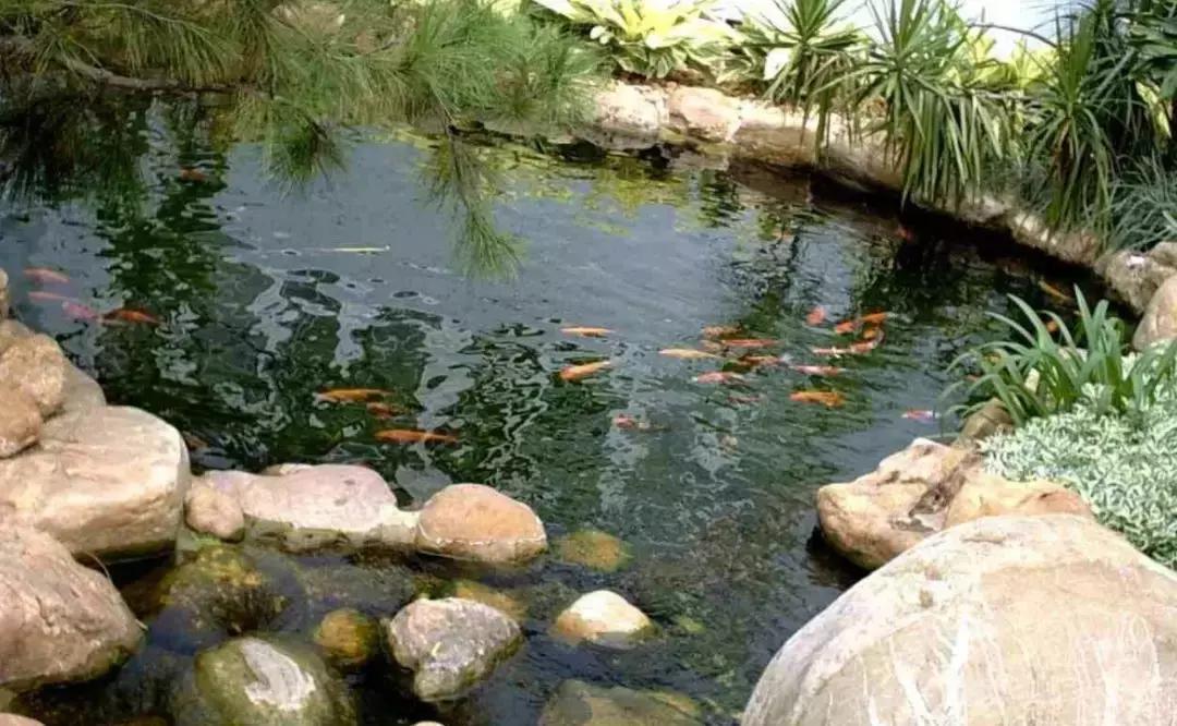 民宿除虫的方法,民宿杀虫灭蟑螂