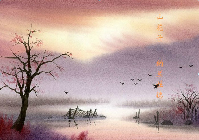 学会放下和释然的经典诗句,释怀放下的经典诗句