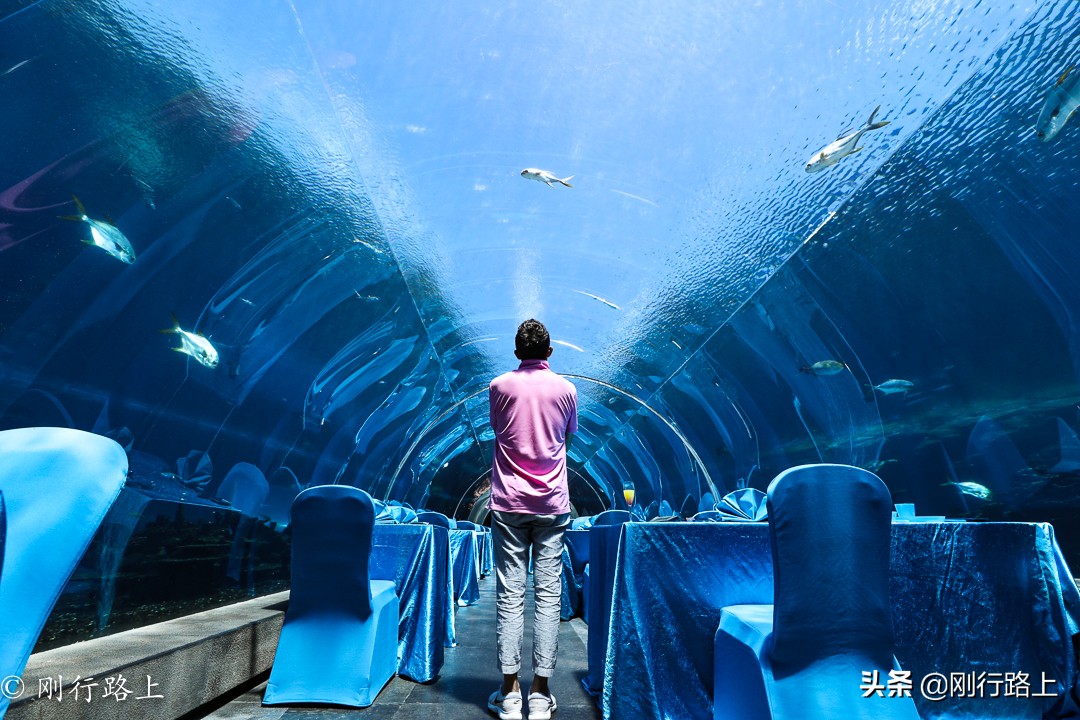 海棠湾天房洲际潜水,海棠湾洲际水族馆