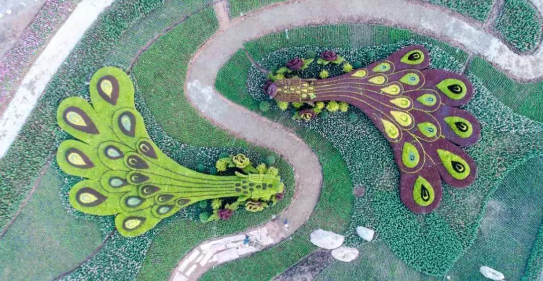 公园项目的正确玩法,公园玩法攻略