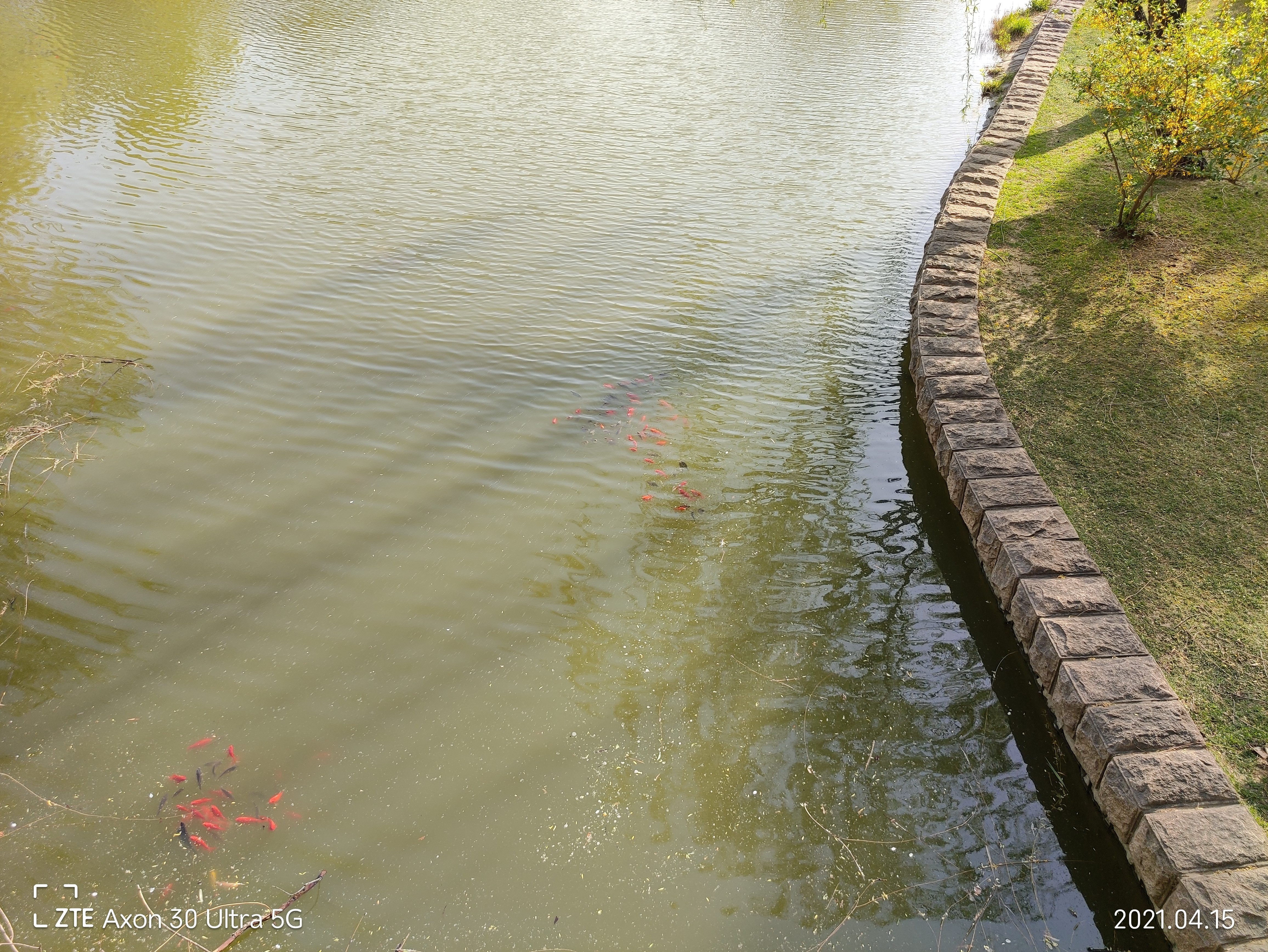 中兴axon30ultra评测屏下摄像头,中兴axon30ultra三千新机能入手吗