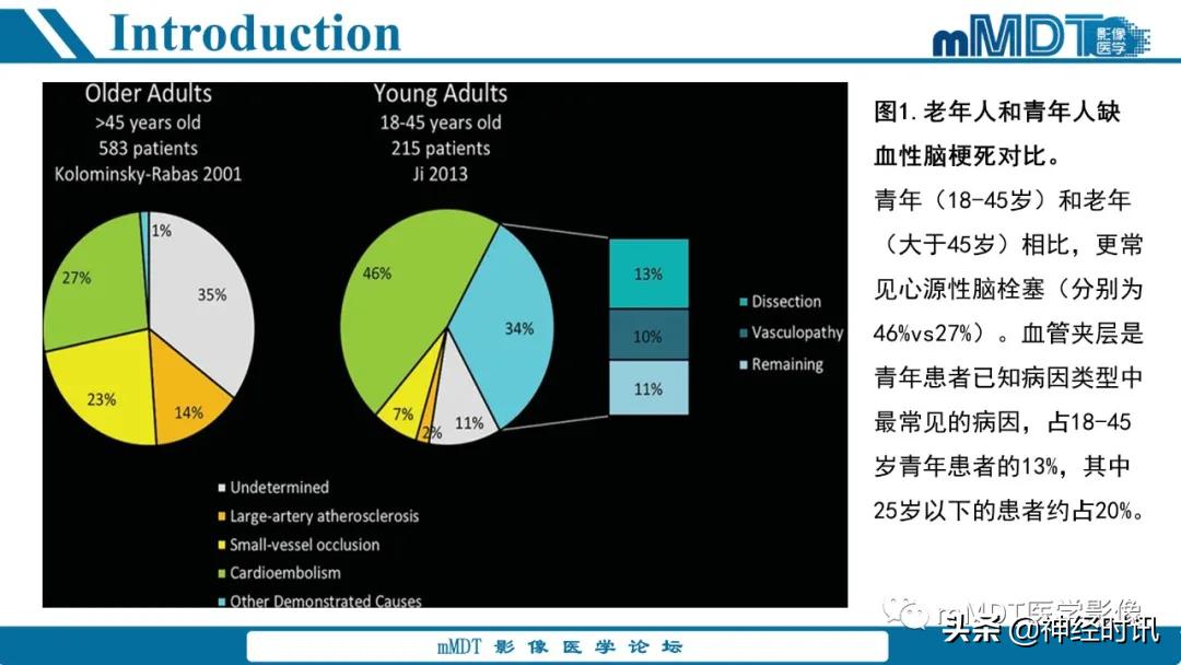急性缺血性脑卒中ppt素材图片,青年缺血性脑卒中ppt