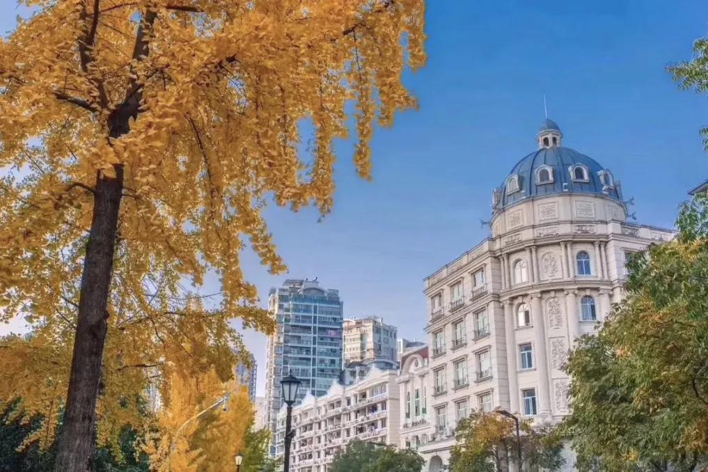 每天要喝掉两杯奶茶,每天要喝2000ml咖啡