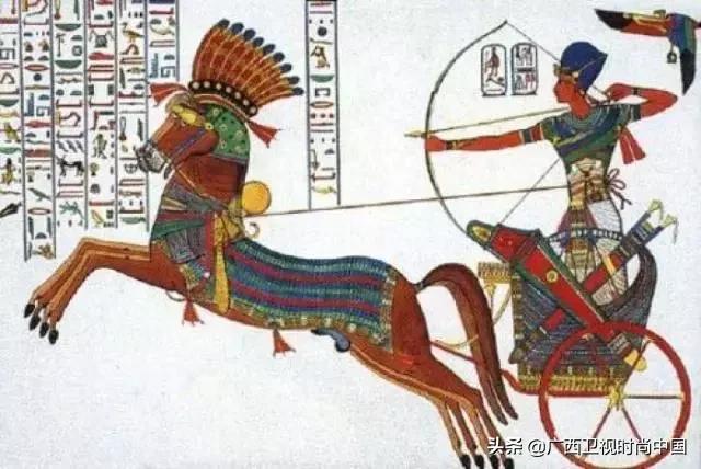 美甲的专业问题有哪些,指甲学问