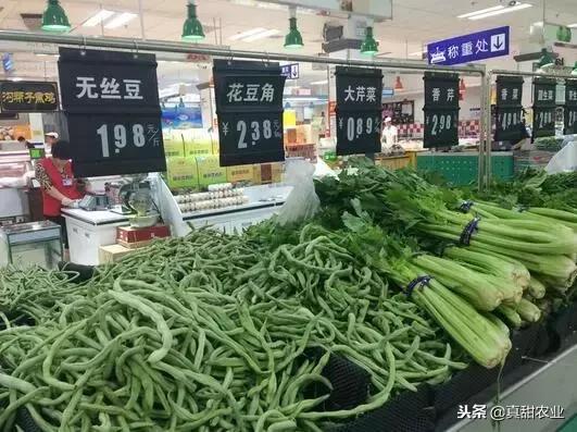 蔬菜行业套路多,种植户、批发商与零售商,哪个环节最容易赚钱