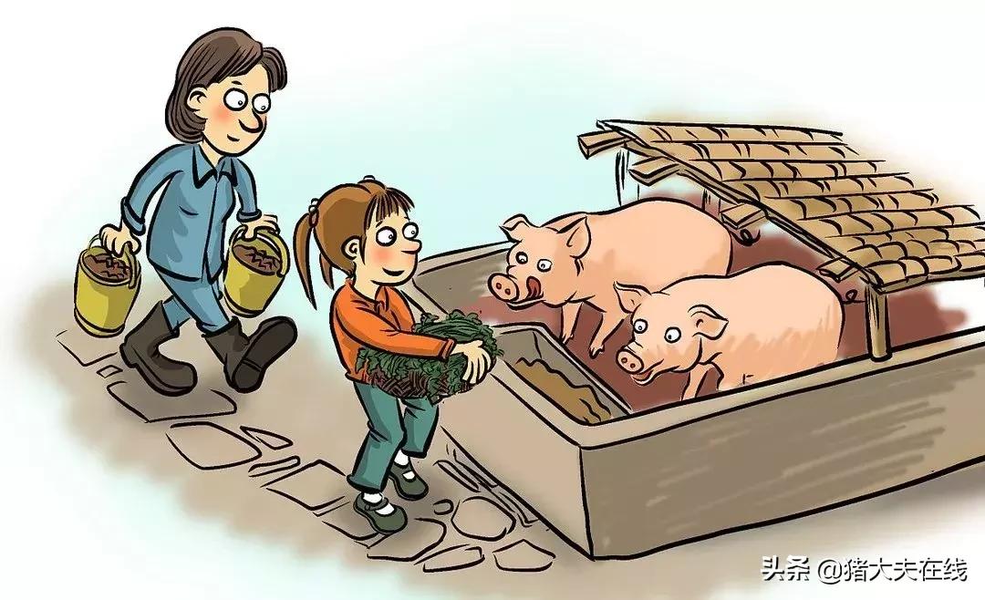 最全母猪养殖技术,哺乳母猪的饲养管理要点有哪些