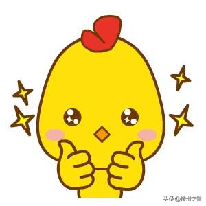 交管12123没有补换领机动车号码牌,补换领号牌12123