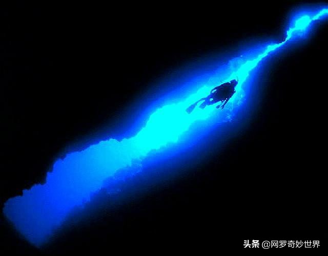 美人鱼真的存在吗科学家发现过吗,美人鱼它真的存在吗