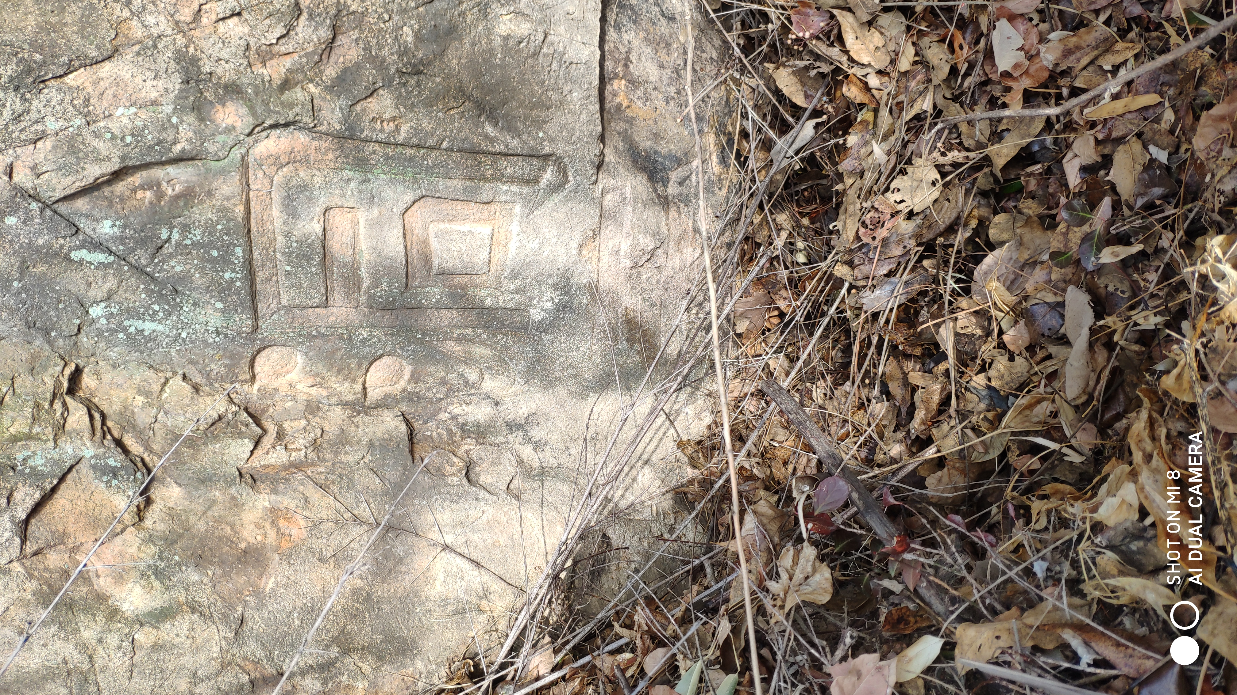 崂山水畔菜蔬鲜,黄石洞中书韵长