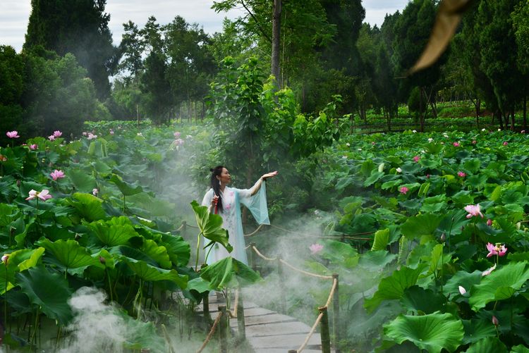 涔愯嚦鑽疯姳鎽勫奖浣滃搧娆ｈ祻,涔愯嚦鍗拌薄鎽勫奖