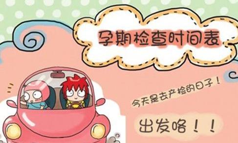 记录产检的收纳册,产检时间表及产检项目一览图片