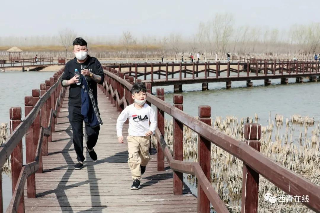 天津最近新开放的公园,天津东疆亲海公园2022年开放吗