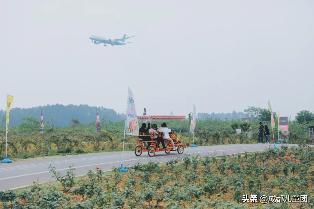 空港花田和空港体育公园哪个好,空港运动公园看飞机攻略