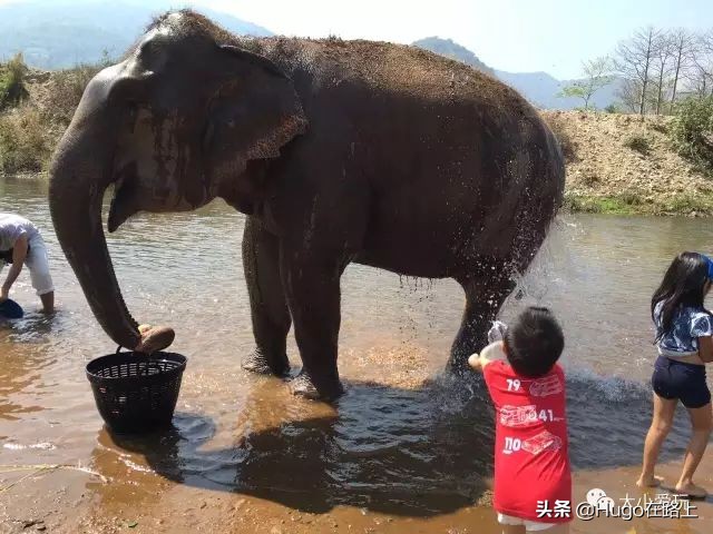 十位亲子旅行达人来告诉你，我们为什么要这样带孩子去旅行