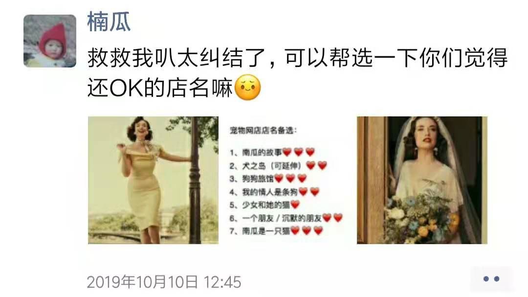 那个写出5000万爆文的小编裸辞了|新媒体人的职场挣扎与突围