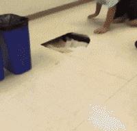 每日一笑看完你能不能忍住不笑,每日一笑看了让你笑