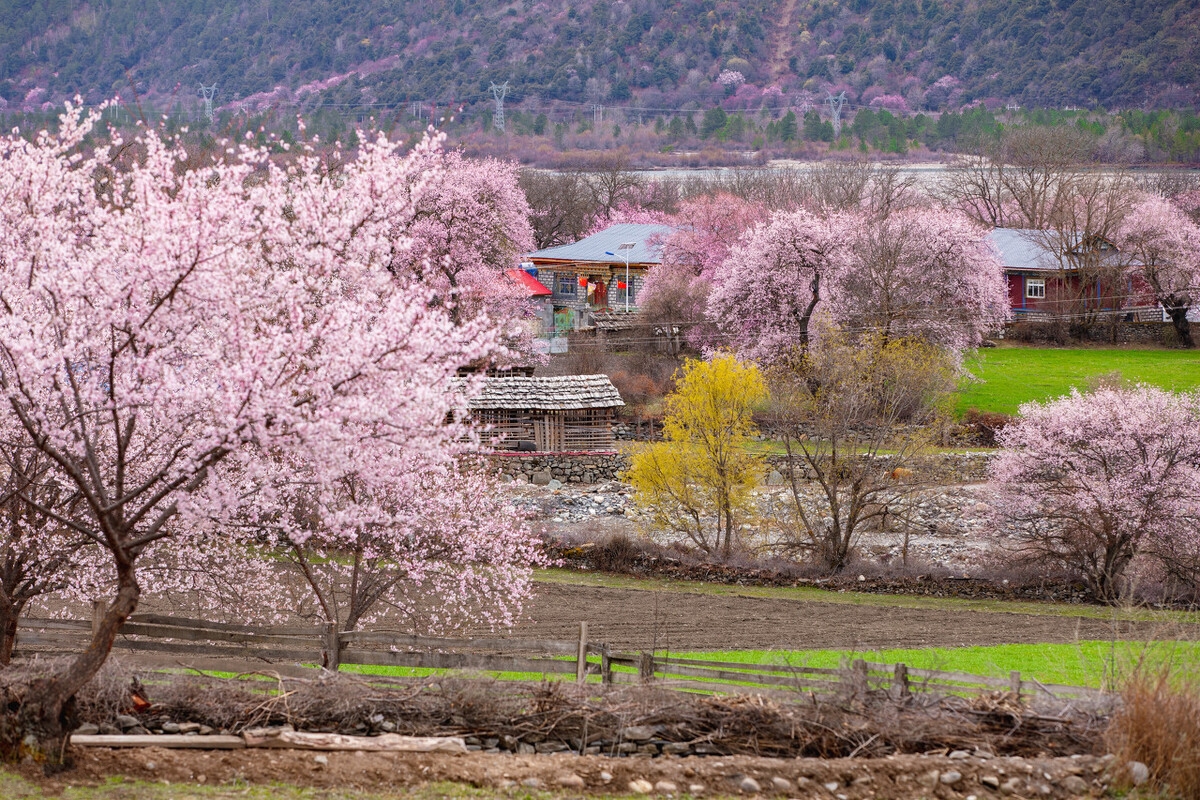 春季自驾游3-4天最佳路线,这才是春天最美的15个地方