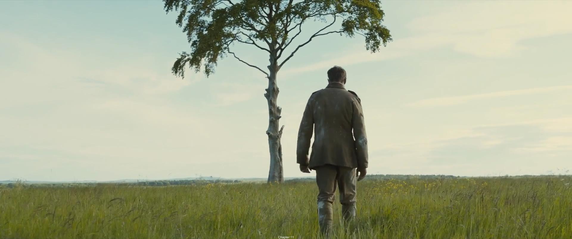 1917最真实的战争片,1917战争电影的细节