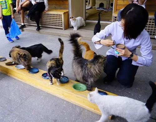 马未都的起家史：为啥偏不收中国字画？王朔：捡破烂的能没点数？