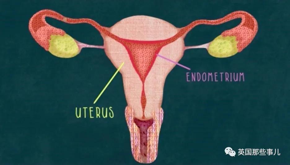 月经对女人的意义与作用,月经的作用和好处有哪些