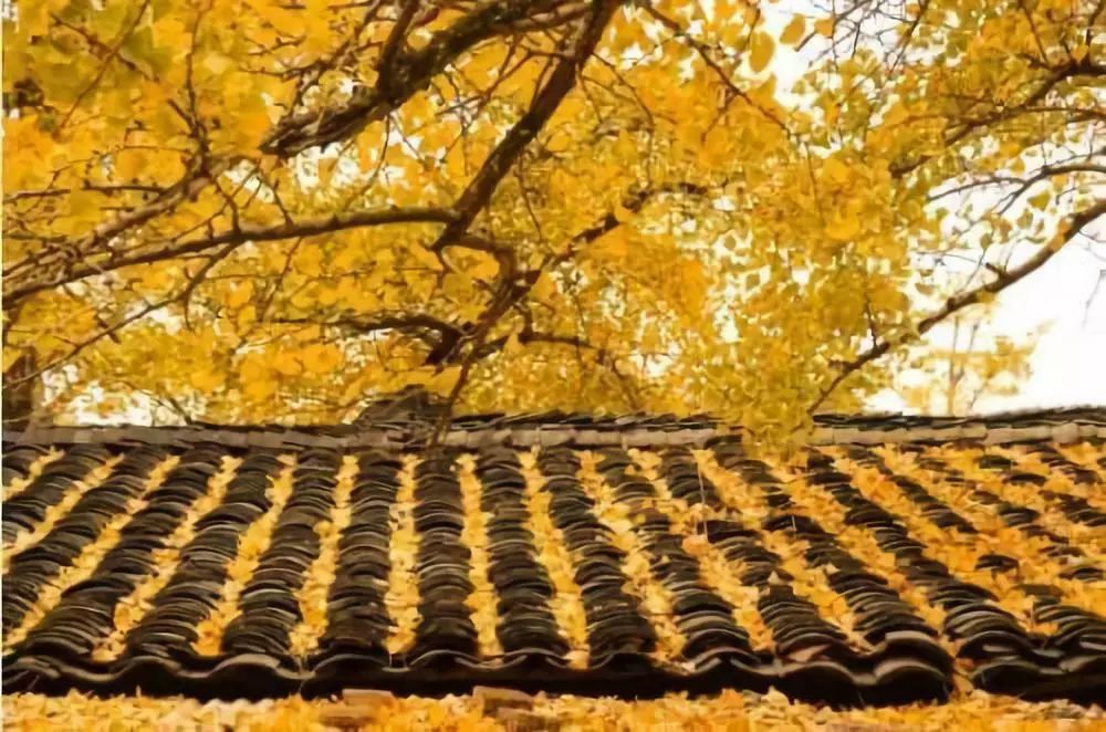 10个小众地方,十个冷门小众国家