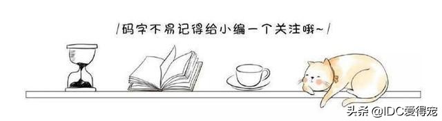 猫咪的性别用什么符号表示,刚出生的猫咪怎么分辨性别