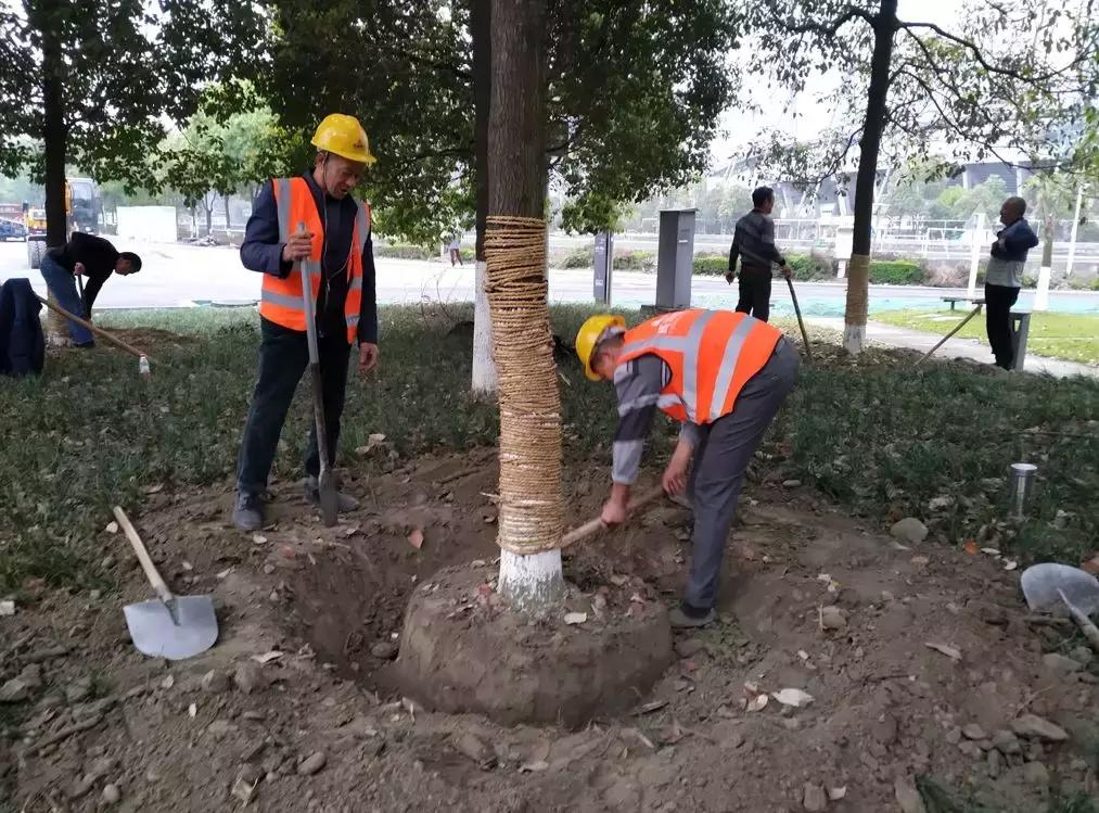 体育馆内的超绝颜值,成都双流体育场