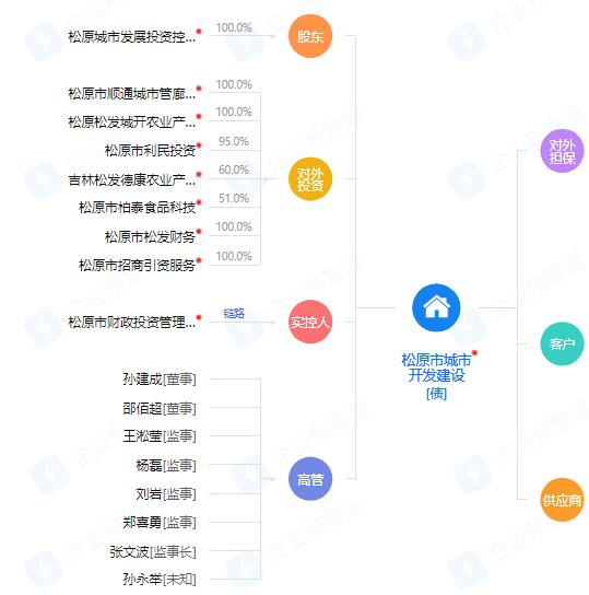 城投公司被纳入被执行人,城投集团被执行人名单