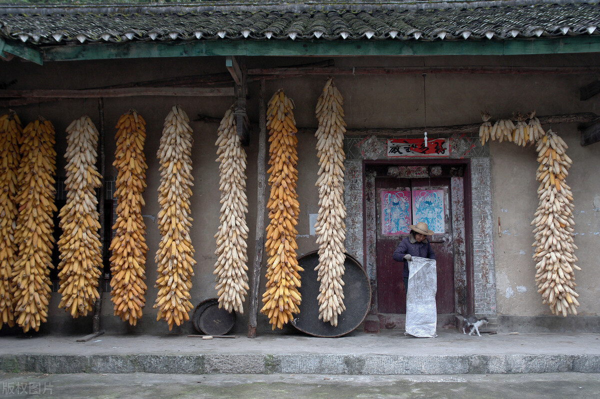 西安哪里能租到农村的院子,陕西秦岭租小院
