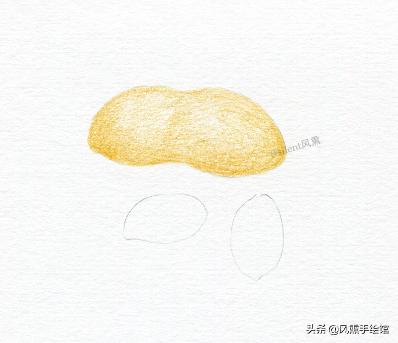 彩铅画花生教学视频,彩铅花生的画法