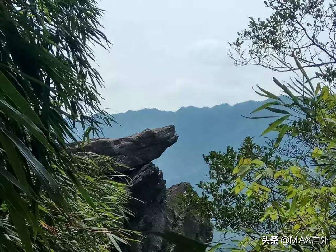 开启你的天然氧吧洗肺之旅,富氧洗肺好去处