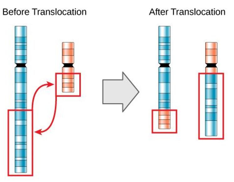 流产后如果不去医院检查会怎样,流产了不去做清宫能干净吗