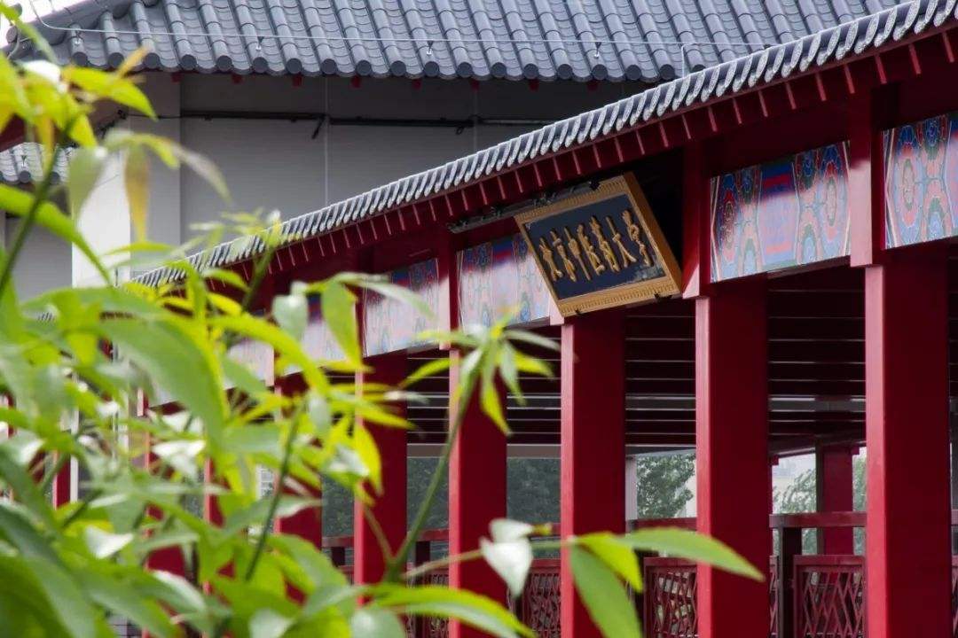 中国十大名牌大学专业排名,中国十大顶尖专业大学