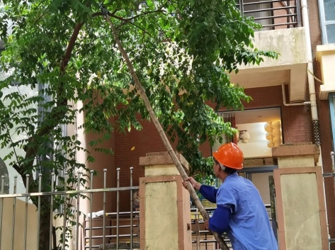 鍝佽川铚曞彉,鍝佽川铦跺彉