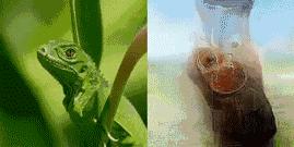 最强读心术！脑波直接转语音，你的秘密已无处藏身｜Nature子刊