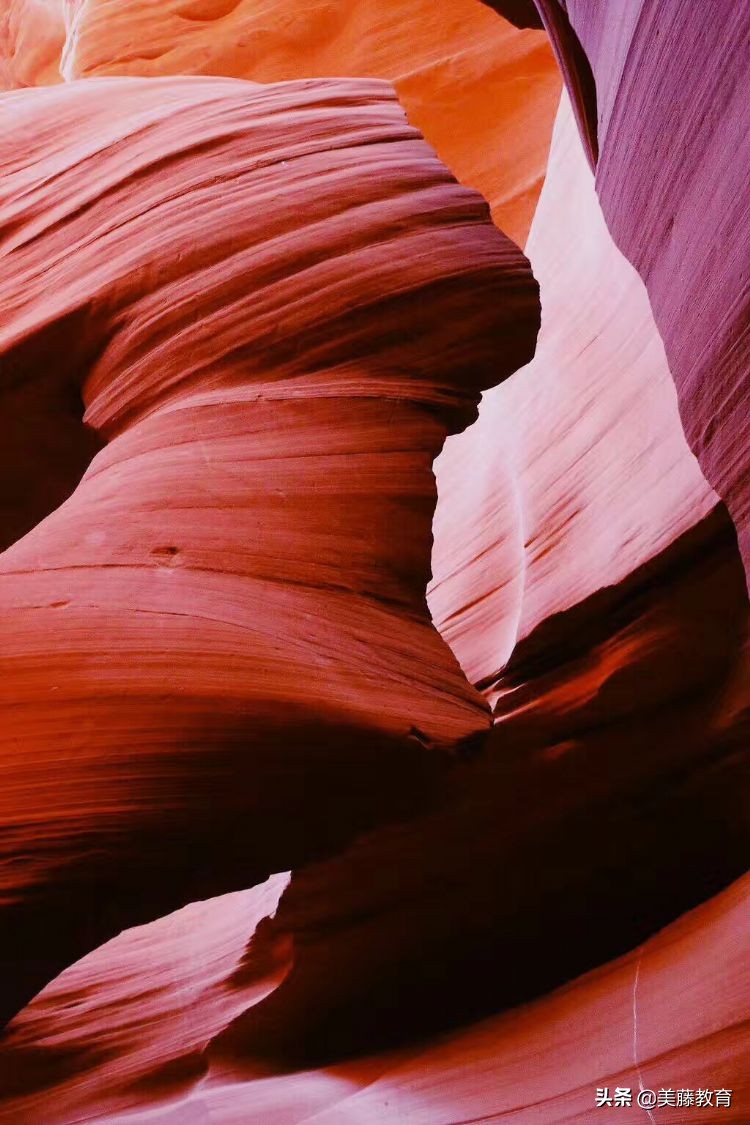 你知道德克萨斯州为何如此牛吗,德克萨斯大学达拉斯分校