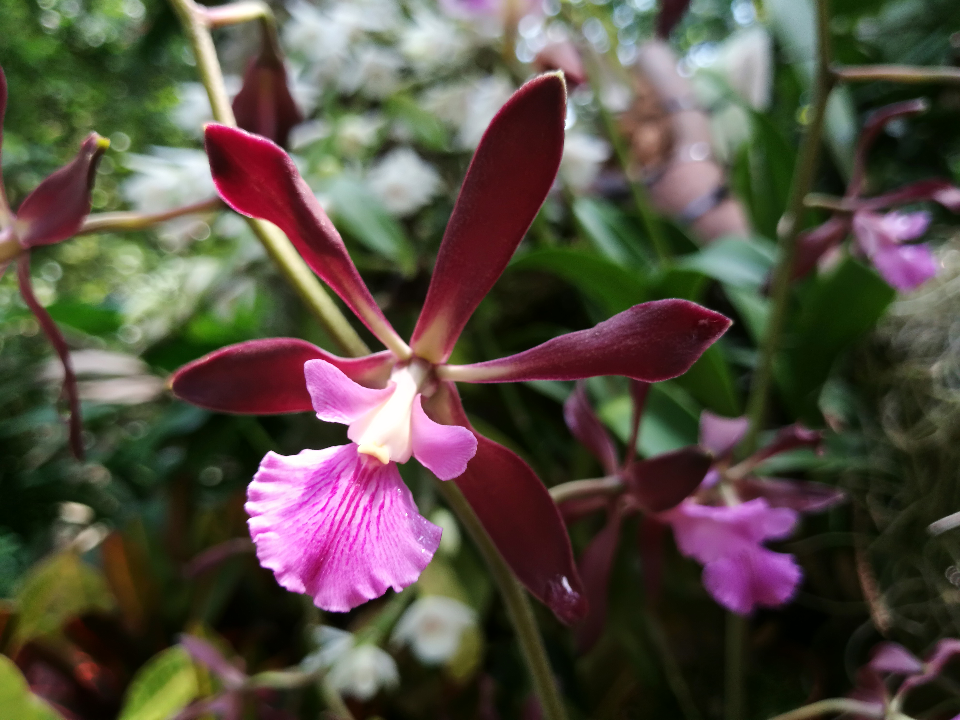 大头大头下雨不愁免费完整版,大头大头下雨不愁小说