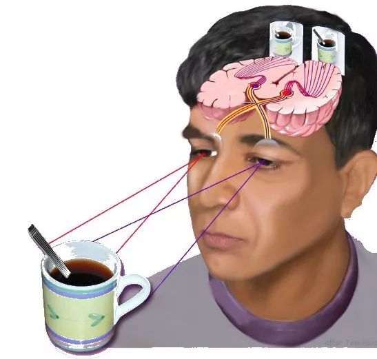 视觉学习指什么,视觉型学习的优缺点