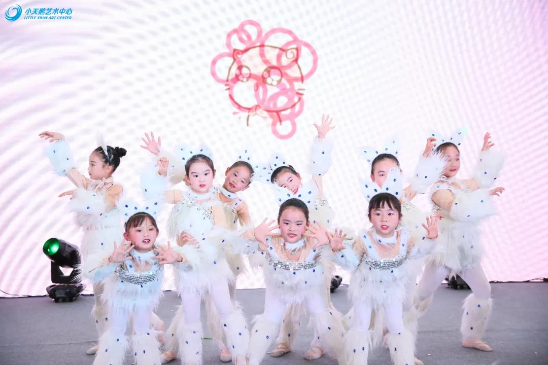 小天鹅艺术中心专场演出现场,小天鹅艺术中心专场演出