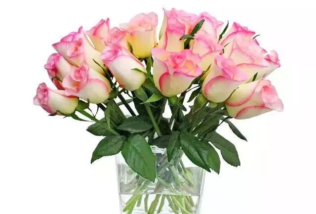 每天学习一点点女性小常识,每天学习一点点科普一下