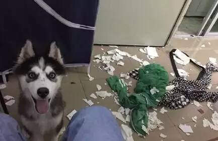 女神节将至，小伙把女友全部口红融化成一支，那些直男送的沙雕