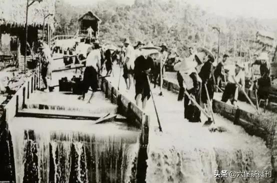 南洋矿工和六堡茶的故事,六堡茶在马来西亚