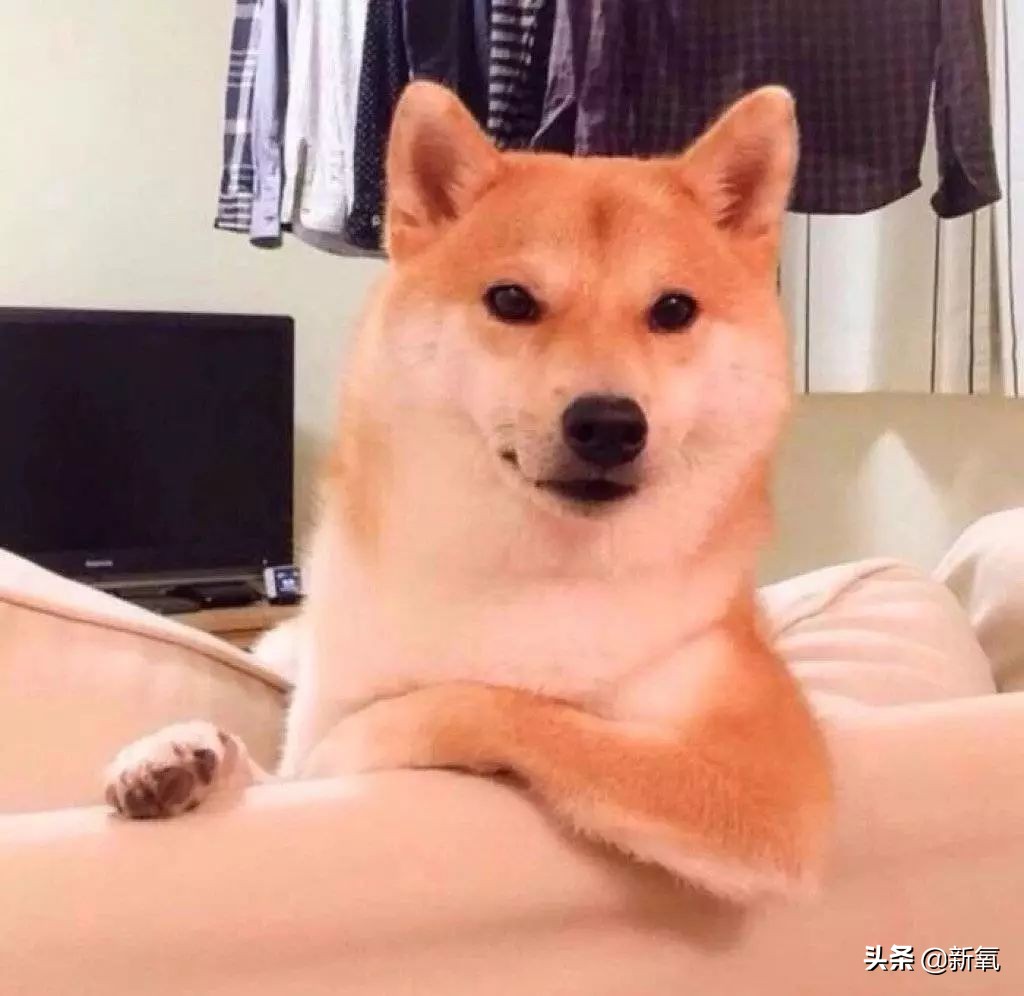 大牌包包上有瑕疵,大牌包的缺陷