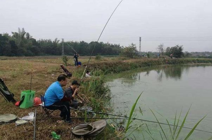 钓鳊鱼的最好方法和技巧,钓鳊鱼的最佳时间和方法