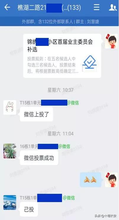 这个“群”，为何人人爱？看互联网与基层数字化政务工作者碰撞的火花