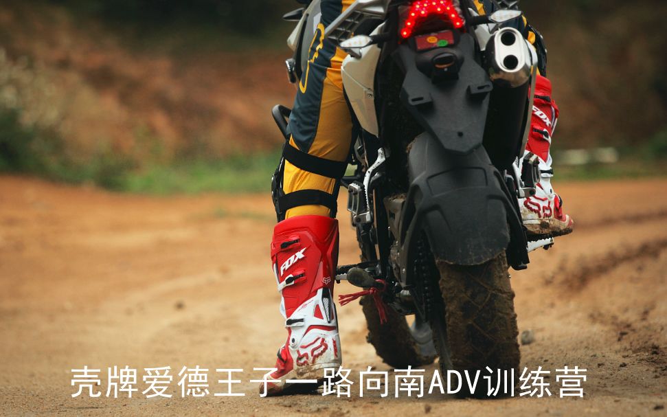 新品合成机油,壳牌机油新产品